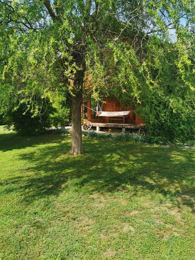 The Wooden House Villa Moldoveneşti Екстериор снимка