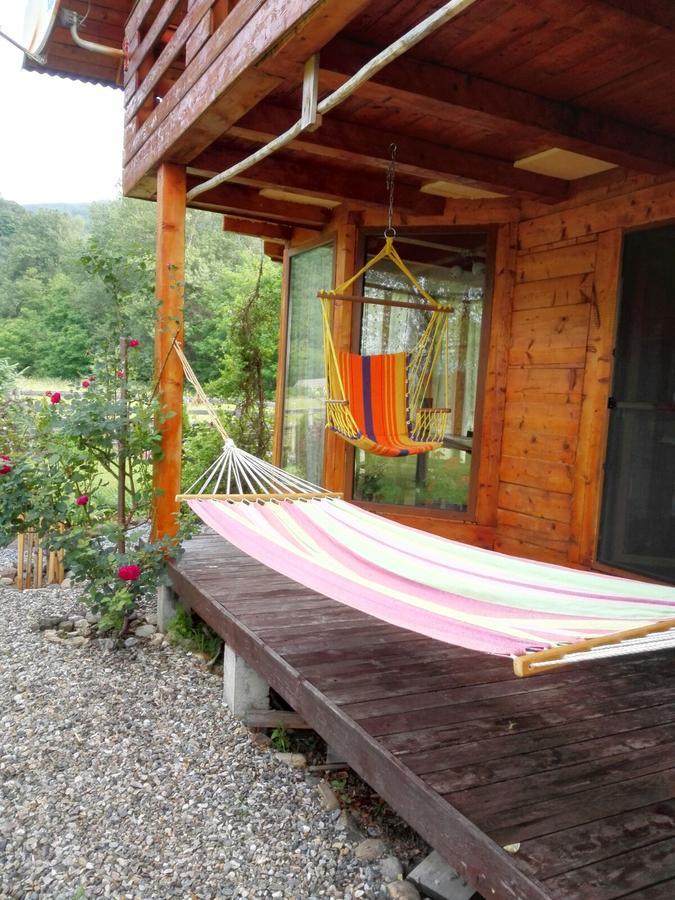 The Wooden House Villa Moldoveneşti Екстериор снимка