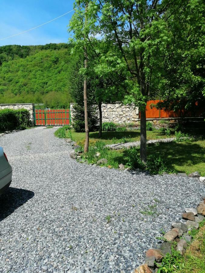 The Wooden House Villa Moldoveneşti Екстериор снимка